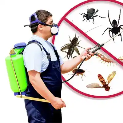 pest control Lakeshire